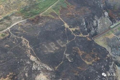 野火烧尽芳草时,野火烧尽芳草的涅槃之旅