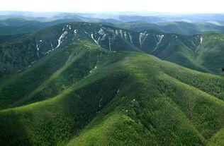巍巍兴安岭,自然奇观与生态宝库的绿色史诗